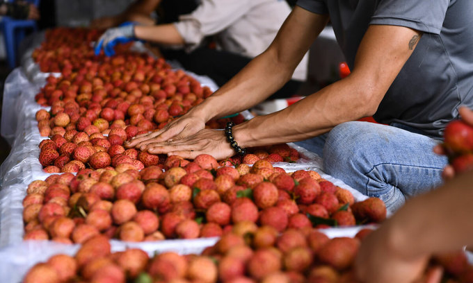 After years of negotiations, Vietnam finally sells lychees to Japan