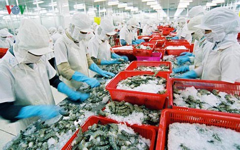 fishery sector aims for "yellow card" removal with us$10 billion export target in sight hinh 0