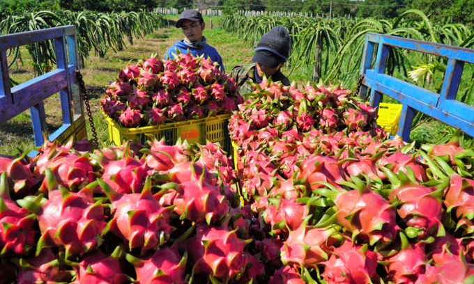 Vietnamese fruit exports to US halted as Covid-19 keeps inspecting officials away